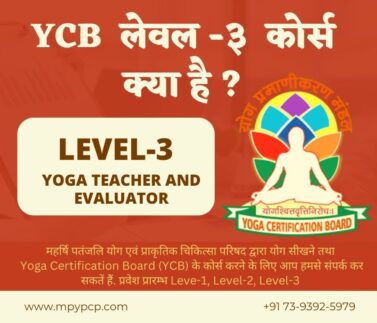 Yoga Teacher & Evaluator